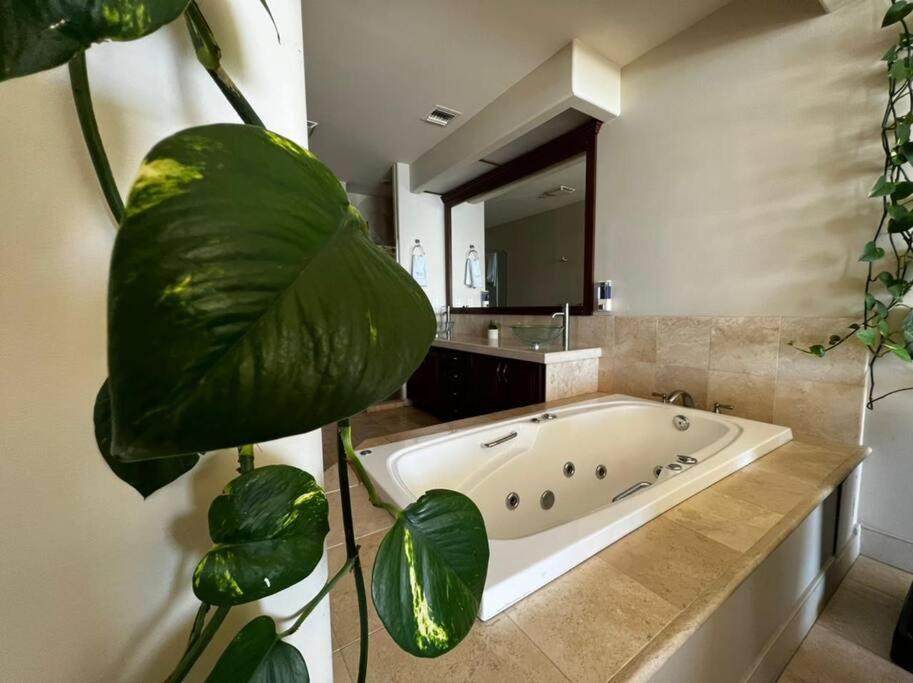 Access - Beach Penthouse Papas And Beer 2 Miles Wifi Rosarito Exterior foto
